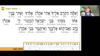 Tetzaveh  Torah Portion Hebrew Study [upl. by Krys767]