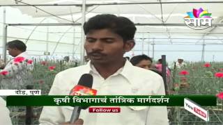 Pune Youths Polyhouse flower farming succes story [upl. by Petulah]