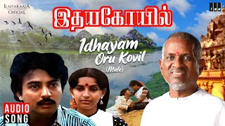 Idhayam Oru Kovil Male  Idaya Kovil Movie  Tamil Song  Ilaiyaraaja  SPB  Mohan  Ambika [upl. by Drugi146]