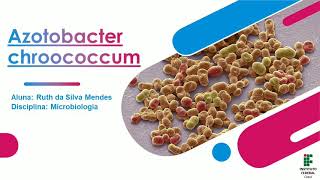 Azotobacter chroococcum [upl. by Deming]