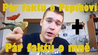 Pár faktů o Pepikovi  Pár faktů o mně [upl. by Chick92]