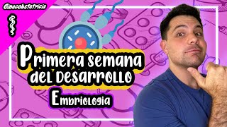 👨‍⚕️EMBRIOLOGIA  PRIMERA SEMANA DEL DESARROLLO [upl. by Annala384]