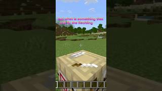 Fletching table update minecraft [upl. by Landbert]