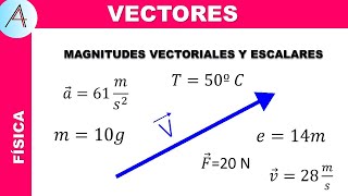 MAGNITUDES ESCALARES Y VECTORIALES [upl. by Larrej]