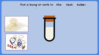 AQA A LEVEL BIOLOGY  REQUIRED PRACTICAL 1 ENZYME CONTROLLED REACTION [upl. by Kcirddor]