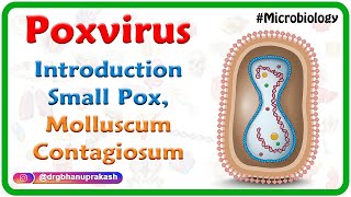 Poxvirus Microbiology USMLE  Small pox Molluscum contagiosum [upl. by Acinok]