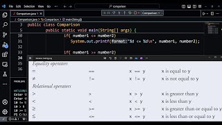 Decision Making Equality and Relational Operators  Java [upl. by Akim384]