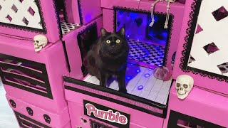 We Built Our Cats a Halloween Barbie Dream House [upl. by Homerus]