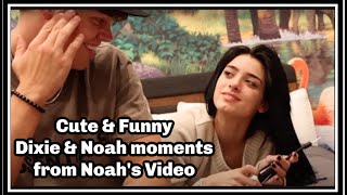 Cute amp Funny —Dixie amp Noah moments from Noah’s vlog [upl. by Llorre302]