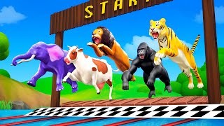 Zoo Animals Swimming Race  Elephant Lion Cow Gorilla Tiger Fox  Funny Animals 3D Cartoons [upl. by Lexis]