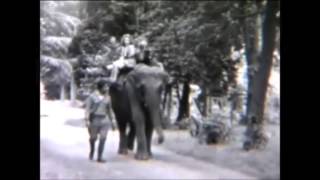 The early years of Chester Zoo [upl. by Eloci]