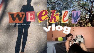 weekly vlog  start of review class play time with hairo amp up run 🐾 [upl. by Bedad]