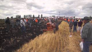 2013 Orange Spectacular Allis Chalmers CA Plowing [upl. by Engelhart]