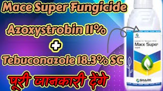 Mace Super Fungicide Azoxystrobin 11 Tebuconazole 183 SC Full Details 👈😱🇮🇳👍🙏 [upl. by Bandeen]