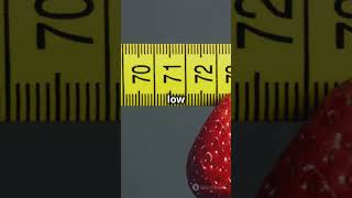 5 Amazing Benefits of Eating Strawberries Daily trending facts viralvideo shortvedio shorts [upl. by Curhan]