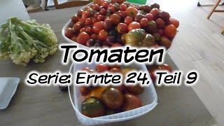 Machs Dir Selbst  Tomaten Serie Ernte 24 Teil 9 [upl. by Brothers]