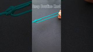 Snap Bowline Knot [upl. by Htebazila]