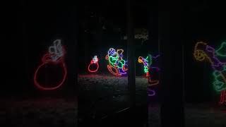 Calloway’s Christmas lights on trolly [upl. by Willms]