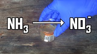 Making Nitrate With Electricity [upl. by Ecadnac]