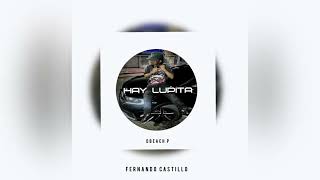 Ay Lupita  Lomiiel amp Fernando Castillo   House Remix   DBeach [upl. by Henryetta160]