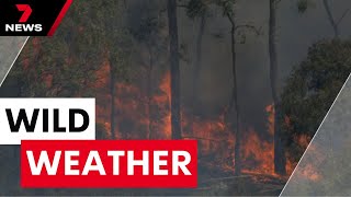 Bushfires destroy homes in western Victoria as wild winds smash Melbourne  7NEWS [upl. by Akirrehs791]