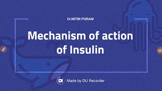 Lantus Insulin Mechanism of Action How Does It Work [upl. by Aisile]