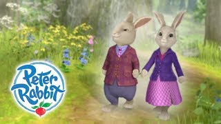 Peter Rabbit  Parents Day  Curious Bunnies  Cartoons for Kids [upl. by Ocsisnarf674]