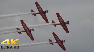 AeroShell Aerobatic Team 2023 [upl. by Andeee]