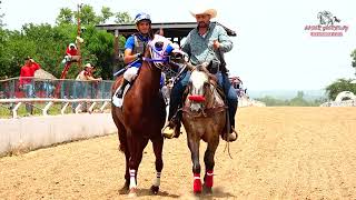 HIT 17 FUTURITY MILLONARIO 300 YDS [upl. by Jorry]