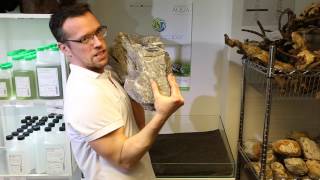 Hardscape Basics  Part 2 using rocks [upl. by Eimmak847]