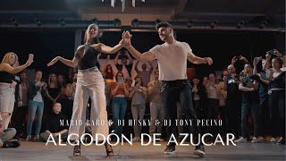 Algodón de azúcar🔥  LUIS Y ANDREA bachata  Mario Baro Dj Husky amp Dj Tony pecino 📍Brussels 🇧🇪 [upl. by Adnohsad]