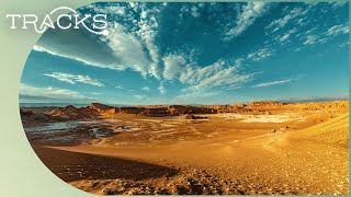 The Desert Rainless For 400 Years Atacama  TRACKS [upl. by Amik]