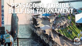 2024 Pensacola International Billfish Tournament Recap [upl. by Genesa516]