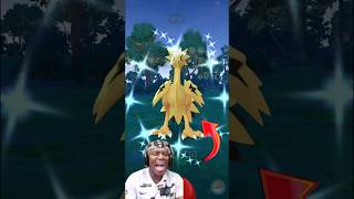 Daily incense Wild Legendary✨Shiny Galarian Zapdos in pokemon go pokemongo soparstart shiny [upl. by Molahs]