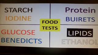 What are the food test song UPDATED here httpswwwyoutubecomwatchvMnny0zT8y3c [upl. by Inek]