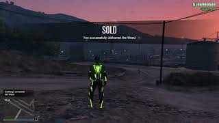 Gta 5 Weed Farm Solo Guide  How to Make Money With Weed Farm Business [upl. by Raffaello]