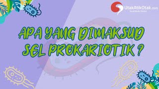 APA YANG DIMAKSUD SEL PROKARIOTIK [upl. by Atnauqal696]