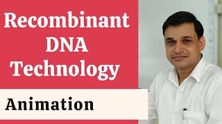 Steps of Recombinant DNA Technology Animation [upl. by Lyrad]