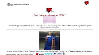 cosè e a chi serve lelettrocardiogramma ECG [upl. by Carlotta723]