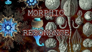 Morphic Resonance The Theory of Formative Causation [upl. by Mall370]