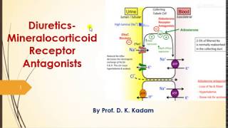 Mineralocorticoid Recepror Antagonists [upl. by Janeva]