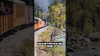 DURANGO amp SILVERTON NARROW GUAGE RR IN ACTION SPEEDING ALONG THE RIVER shorts railway train [upl. by Ennaeus]