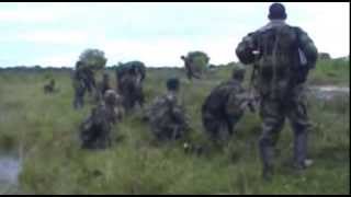 COMBATES GUERRILLA DE LA FARC Y EJERCITO EN ARAUCA [upl. by Kameko123]