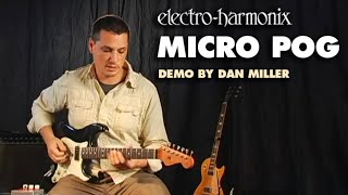 ElectroHarmonix Micro POG Polyphonic Octave Generator Pedal Demo by Dan Miller [upl. by Julieta]