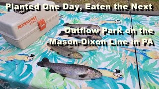 Outflow Park a Pennsylvania fishermans paradise [upl. by Ailati519]