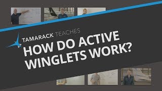 Active Winglets  How Do They Work [upl. by Arikahc852]