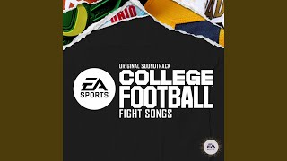 Florida Atlantic University FAU Fight Song [upl. by Nelyag]