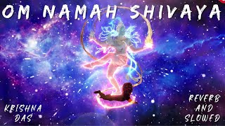 Namah shivaya  Krishna das  Slowed  Reverb latest religious songs 2022 [upl. by Nana]