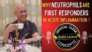 Neutrophils  Cells in Acute Inflammation  Audio Lecture [upl. by Speroni]