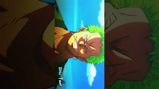 Straw Hats👒  EDITAMV  Luffy x Zoro shorts ytshorts onepiece monkeydluffy [upl. by Akiras681]